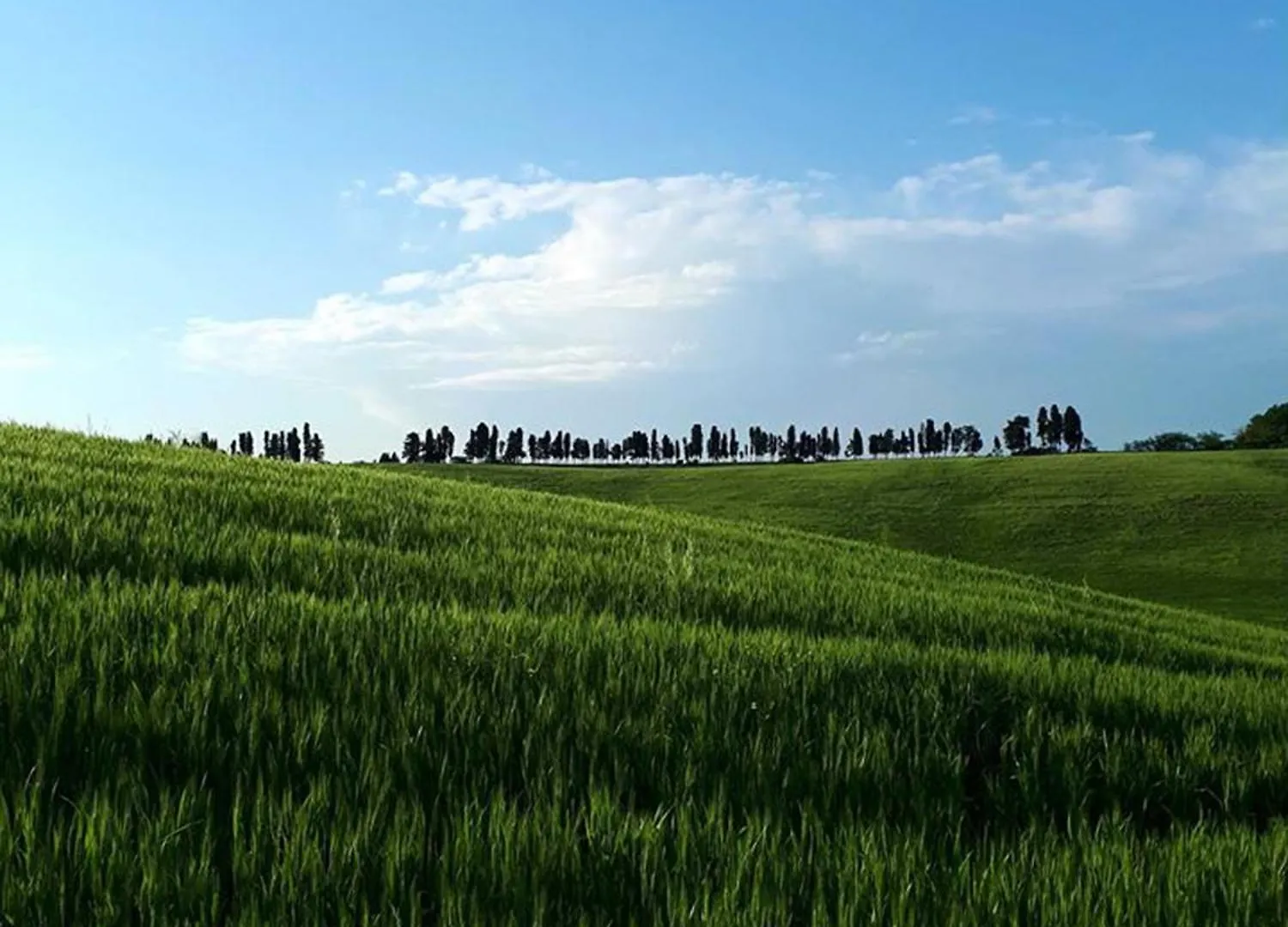 Casa Divina B&B Toscana Yoga Natura Plant Based Lorenzana