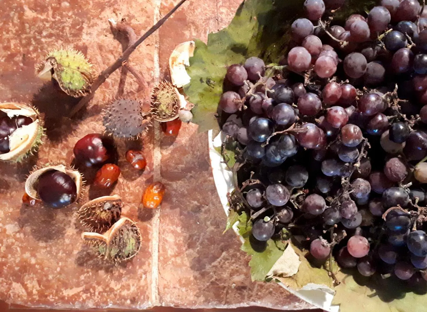 Casa Divina B&B Toscana Yoga Natura Plant Based Lorenzana