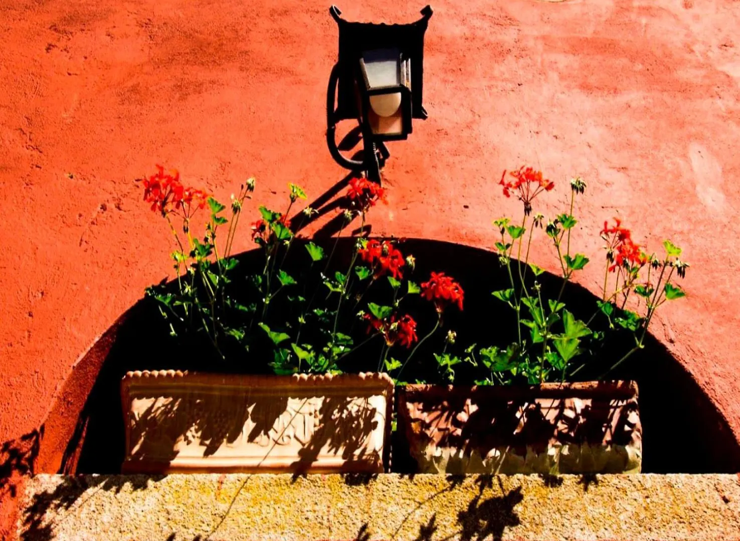 Casa Divina B&B Toscana Yoga Natura Plant Based Lorenzana