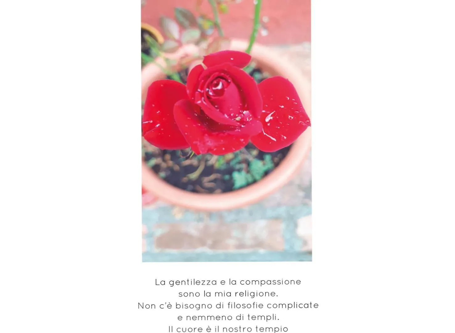 Bed & Breakfast Casa Divina B&B Toscana Yoga Natura Plant Based Lorenzana